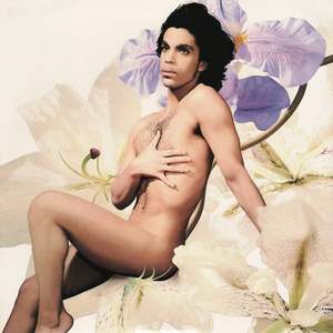 Prince Lovesexy Cover