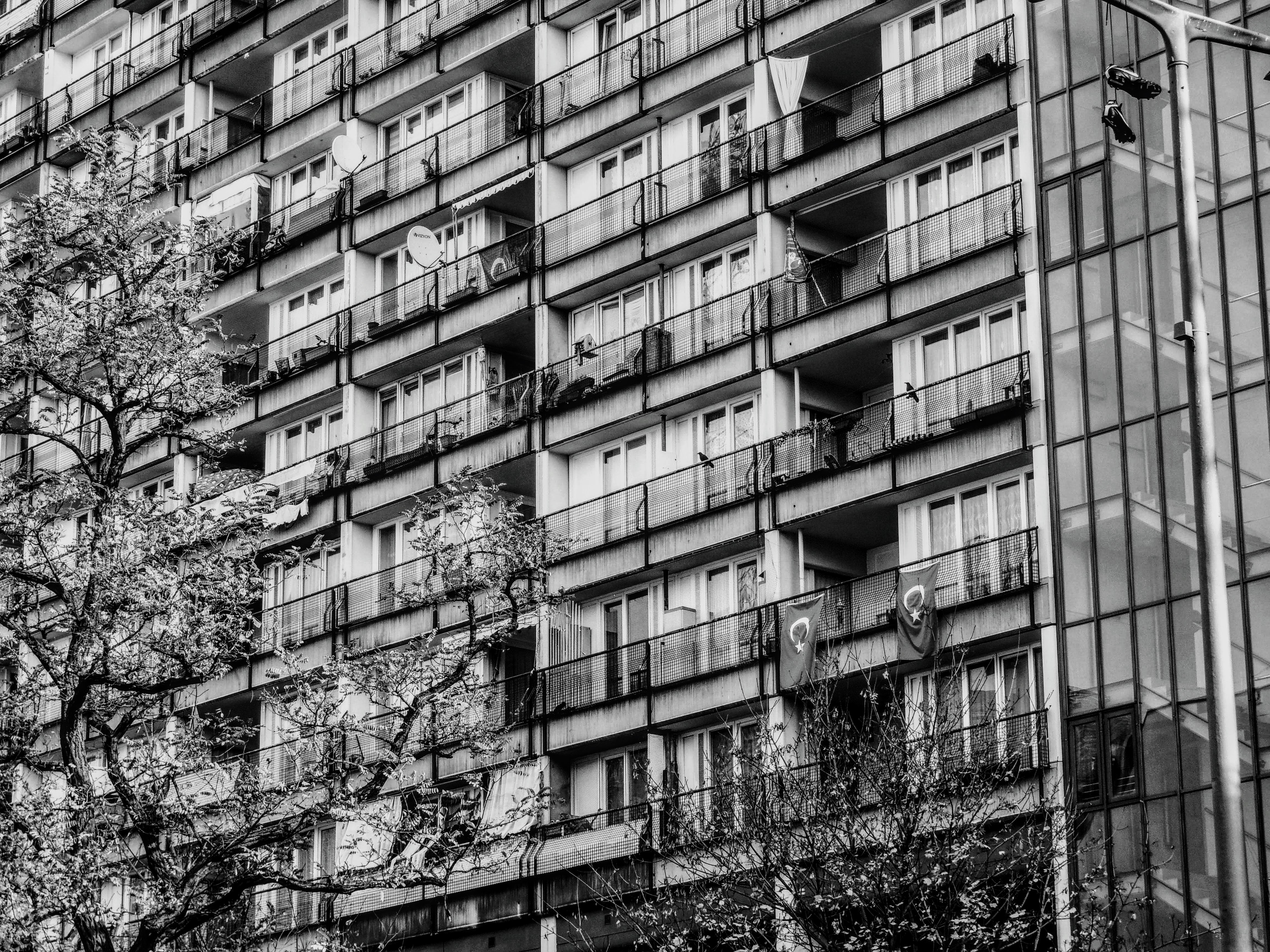 Berlin Beginnings