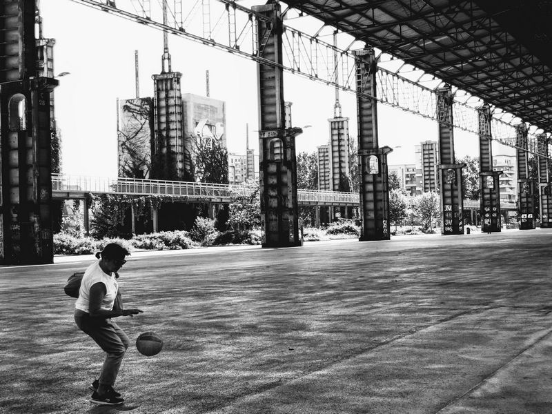 The New Playground